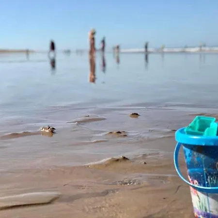 Maison Familiale 4 Avec Terrasses, Vue Mer, Wifi Et Parking - Fr-1-231-279 *