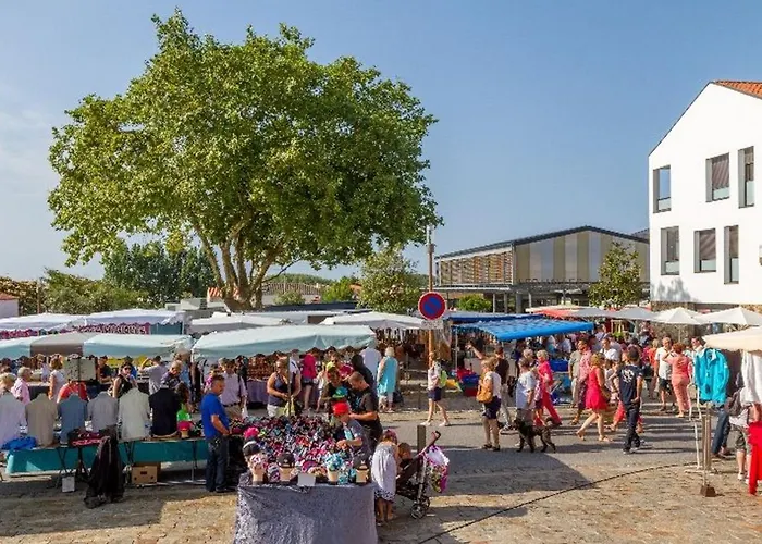 Holiday home Maison Familiale 4 Avec Terrasses, Vue Mer, Wifi Et Parking - Fr-1-231-279 *