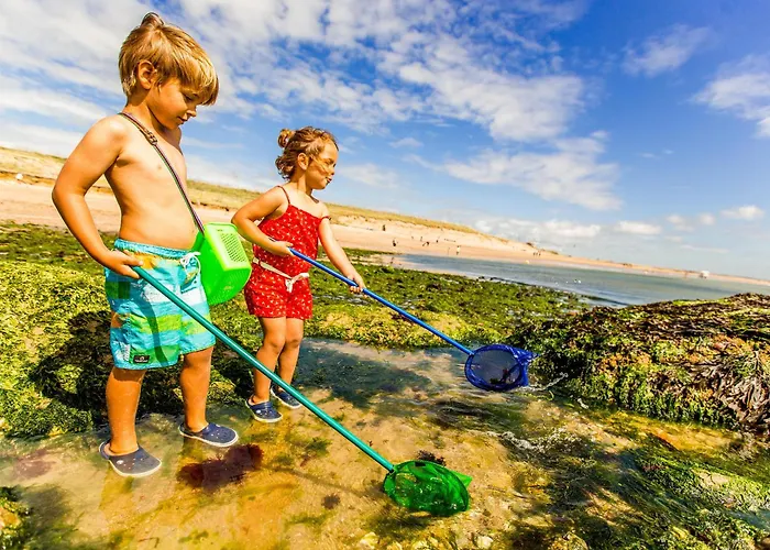 Holiday home Maison Familiale 4 Avec Terrasses, Vue Mer, Wifi Et Parking - Fr-1-231-279 *